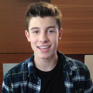I absolutely adore and i'm a massive fan Shawn Mendes