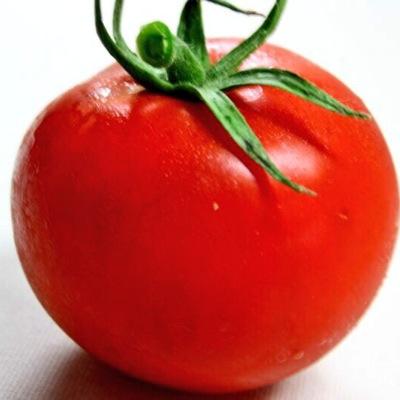 とまとさんのプロフィール画像