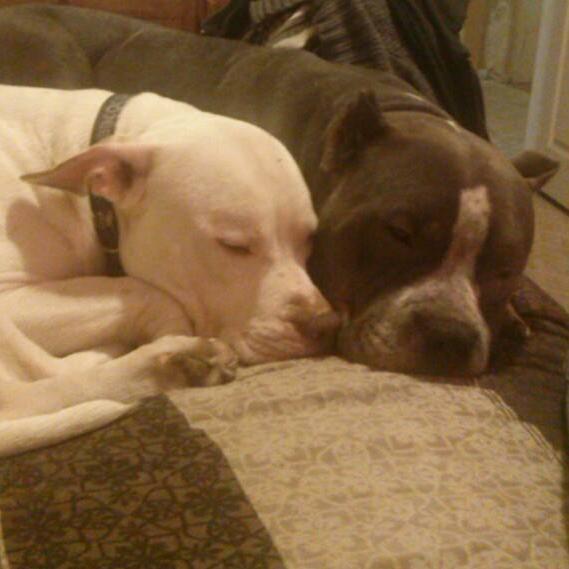 nosnhoj79's profile picture. Just livin'