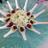 RococoCatering's profile image
