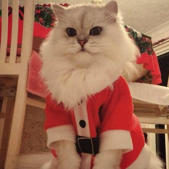 kabargina01's profile picture. др 19.09. ВЗАИМНЫЙ ФОЛЛОВИНГ