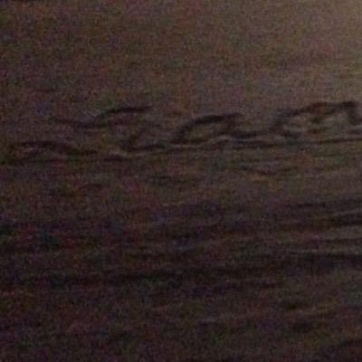 LHL_Senators's profile picture. y