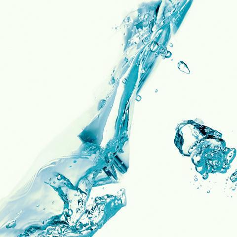 cedihohuhun's profile picture. General foodaholic