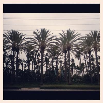 USA 1/5 Xxx