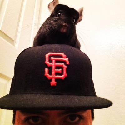 PanAmLatino's profile picture. semper parati