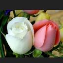 youssef hammoud - @HammoudYsf - Twitter