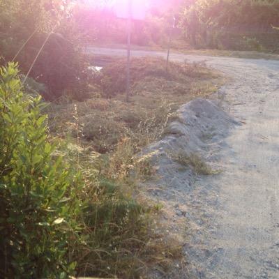 antonio_libano's profile picture. 