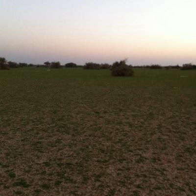 احب كل ماهو جميل واقتبس بعض الافكار والمواهب والاشعار ونرحب بكل ماهو جميل شعاري هو انا الحياه اجمل.