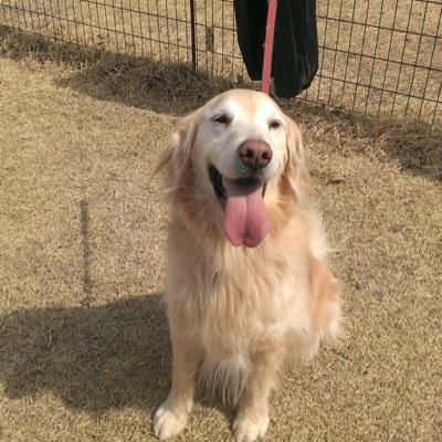 Honmaagkgl0610's profile picture. 