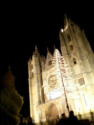 noelina81's profile picture. 