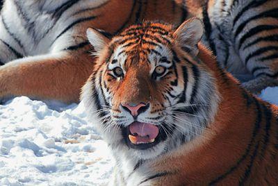 MaguireEvan's profile picture. 