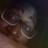 taylerdaniels's profile image
