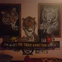 Tim thornhill - @thornhill_tim - Twitter