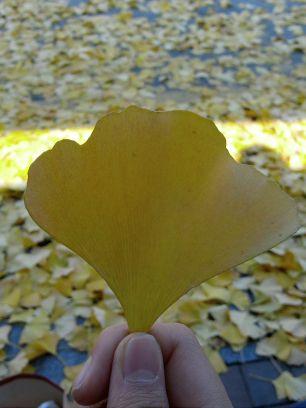 pinkschoolsr's profile picture. 안녕하세요.