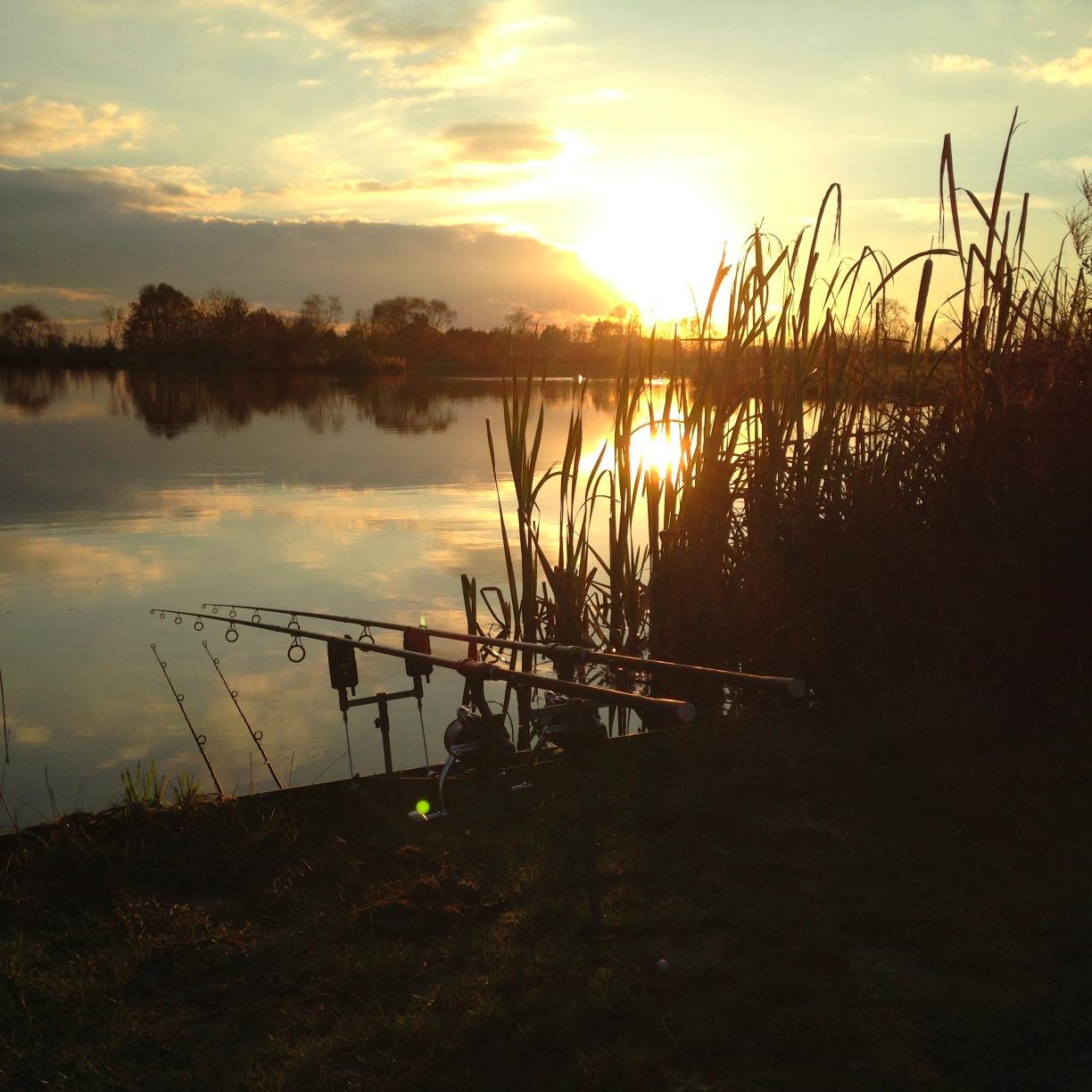 Mostly my Fishing Pics.. But Many passions.(Travelling//Diving//Outdoors//The Countryside// Workingout//Filming//Creating Electronic Music !!)