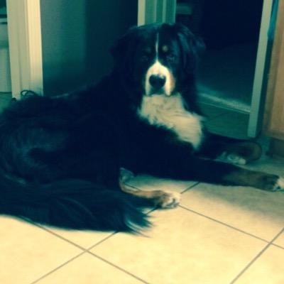 Benjamin Bennett Profile