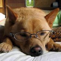 恩田竜太郎 (@ro_curry) 's Twitter Profile