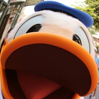 D垢◆元年パ持ち(2013〜2019)ドナヲタ♡ドナデジ&ミキドナ大好き！/基本的に皆好き♡/一眼(Canon)/土日祝日&平日19時～メイン/ショーパレグリ大好き/地蔵何時間でも！/ D友大募集中＼(^o^)／♡