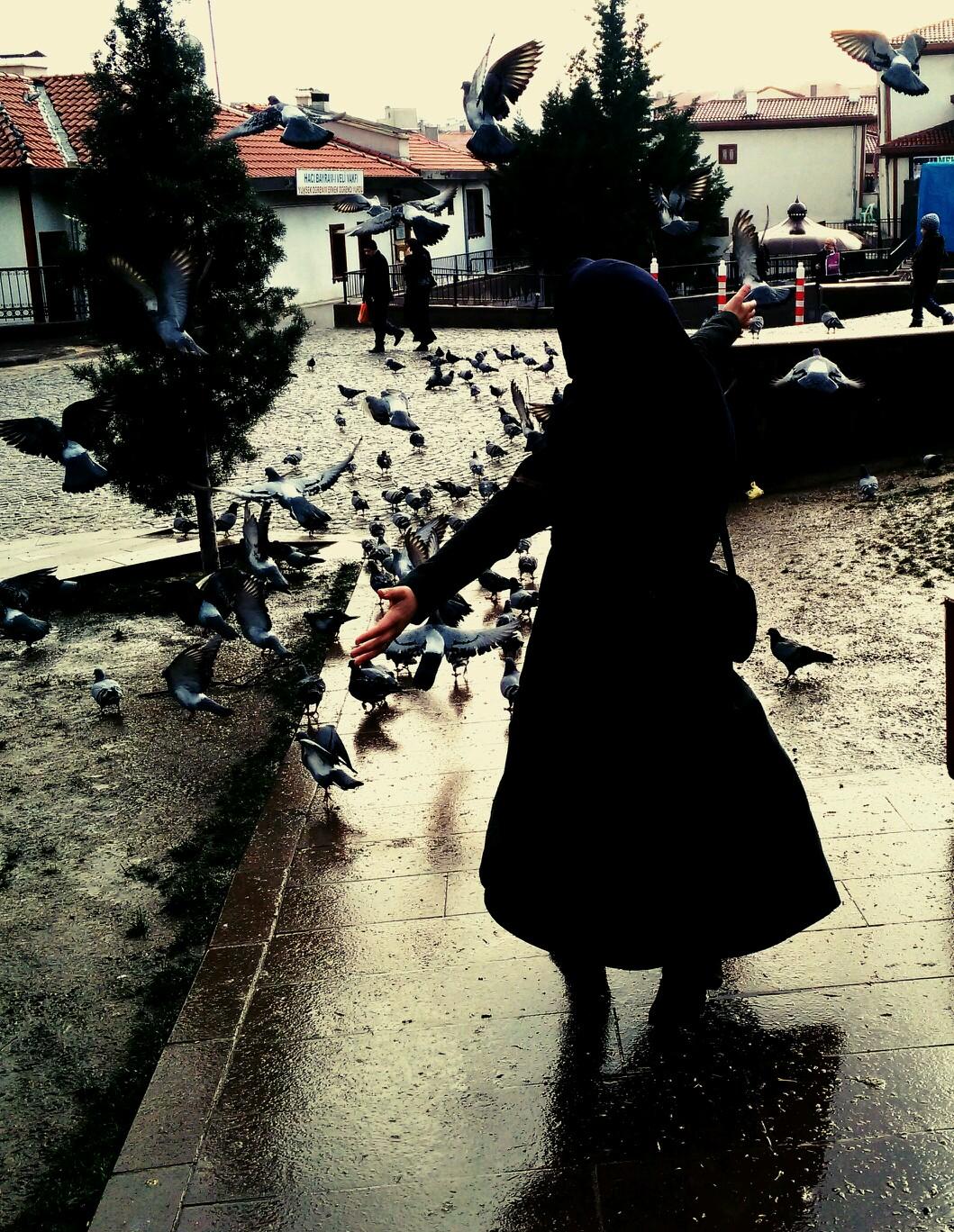 Aşksızlara verme öğüt,
Öğüdünden alır değil.
Aşksız kişi hayvan olur,
Hayvan öğüt bilir değil.