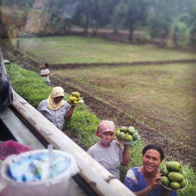 mengungkap tabir dibalik citra.