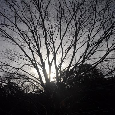 ●élevage de ver à soie. ●articles en soie.●Fil de soie en japonais.●民俗・民族文化に興味があります。山間部の限界集落に暮らしながら、養蚕・製絲・機織をやっています。●Traduction de soie en japonais.