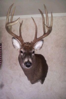 MyYoungdxt's profile picture. 