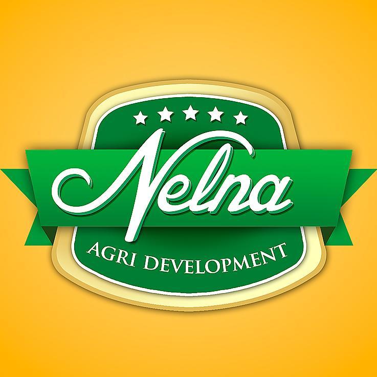 Nelna is not just another verity of mango.