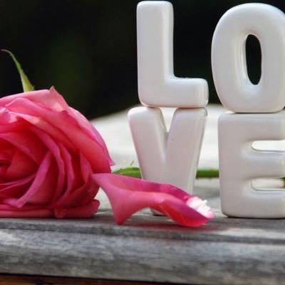 hmshtr's profile picture. 