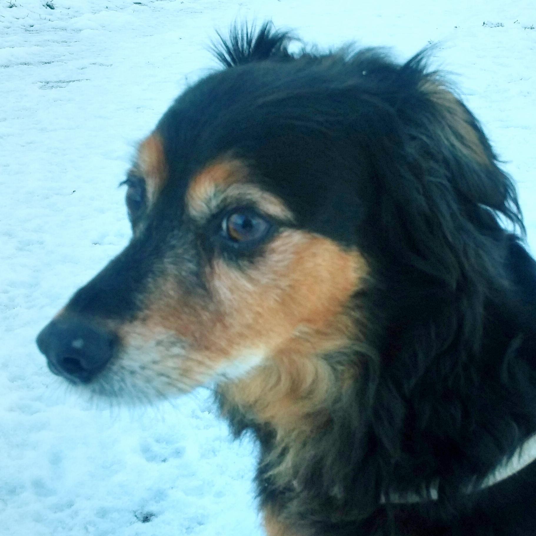 quirlsen's profile picture. It´s ok if you disagree with me. I can´t force you to be right!