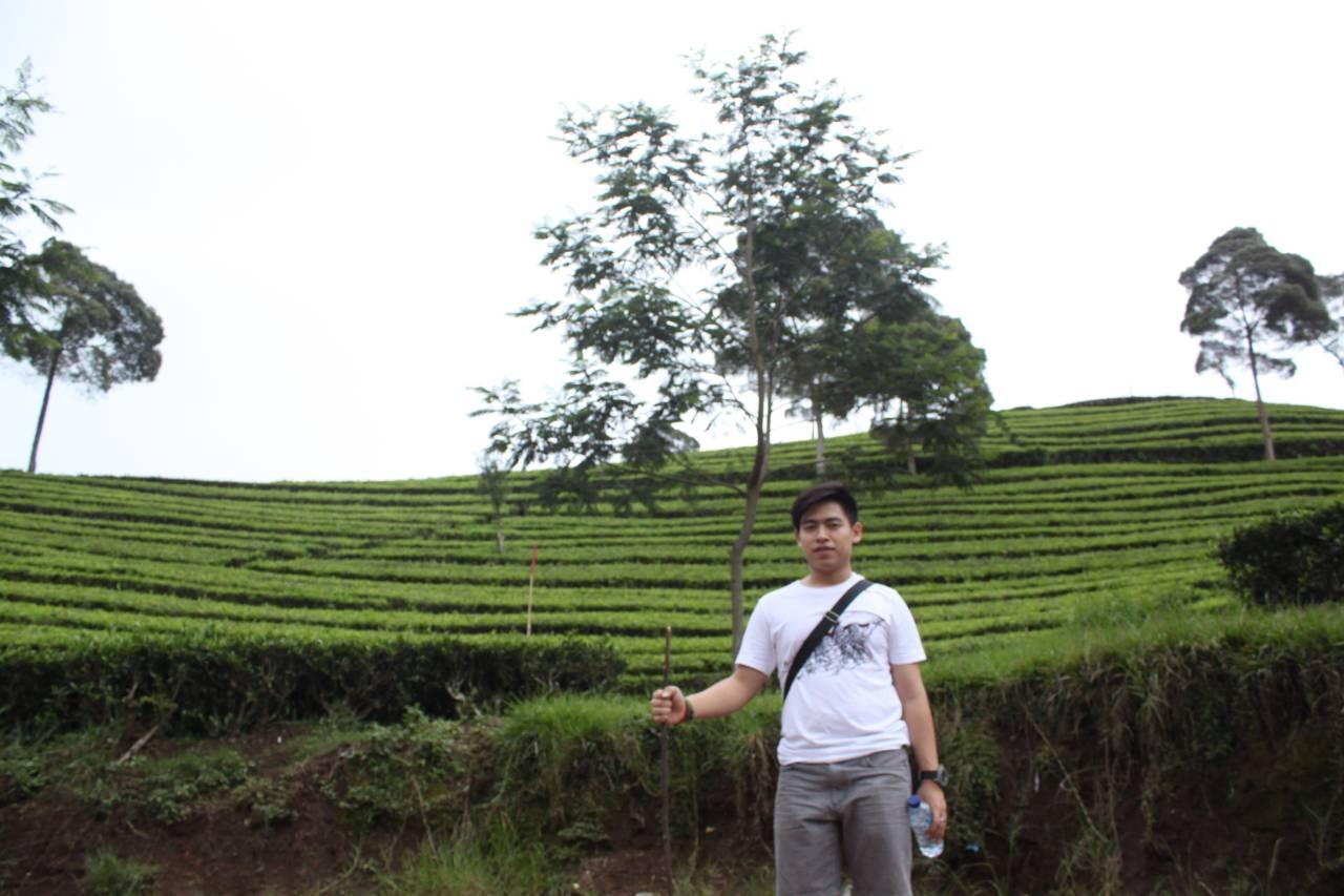 JoonathanCT's profile picture. Swim like a penguin and fly like a flying fish..