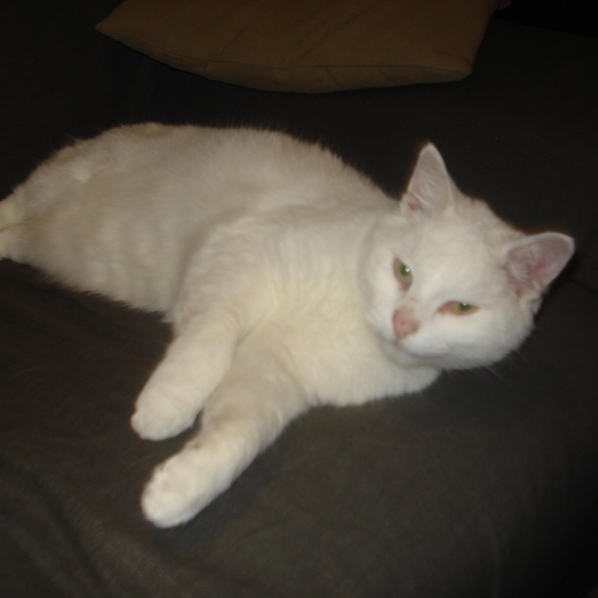 Vandeuren49's profile picture. 