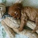 Lee Hee Jeong★ - @dnfldnflrhadl - Twitter