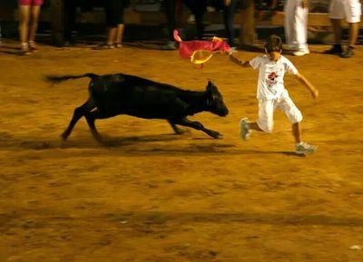 924ece7426c3409's profile picture. 