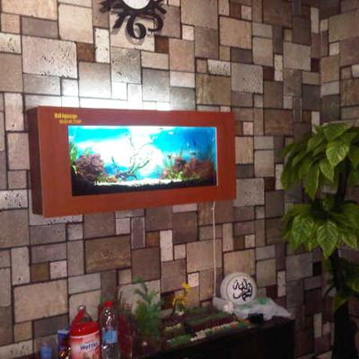 82 Design Aquarium Tanpa Kuras Gratis Terbaik