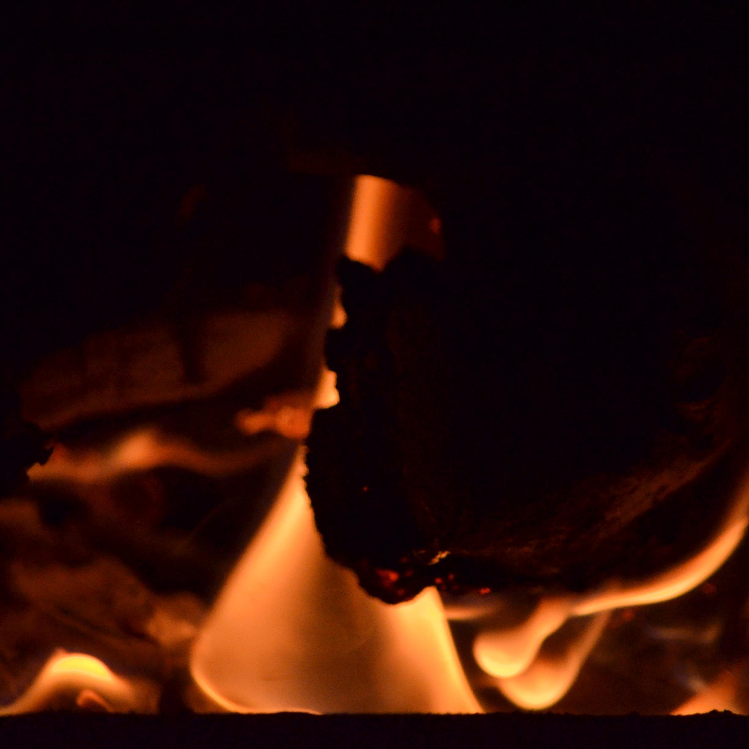 StepheLB's profile picture. Freelance Photographer & Videographer.
Human rights activist.