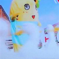 京ぺこ (@peco181125) 's Twitter Profile