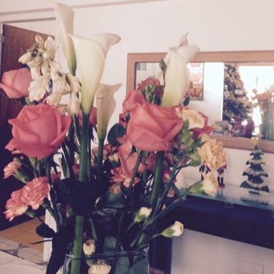 kharinghton's profile picture. Venezolana, mujer, madre, enamorada, sagitariana, abogada Ucevista, Fiscal del Ministerio Publico, de los Leones del Caracas, Caracas football club y cocodrilos