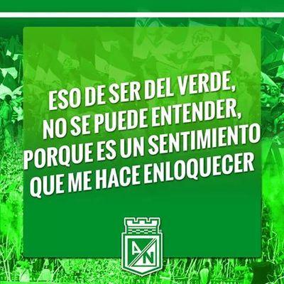 whatsapp 3127114200