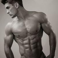 Fittest Human (@fittesthuman) 's Twitter Profile