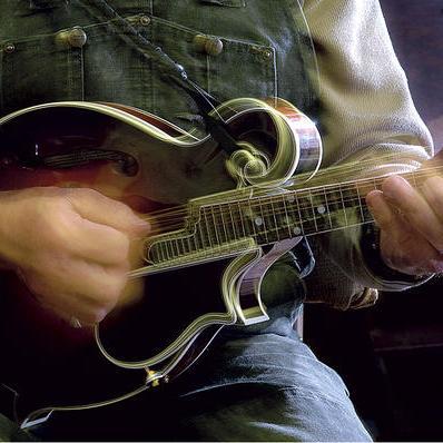 BluegrassDaily's profile picture. Your daily dose of bluegrass news.
For those who are addicted.