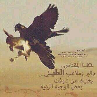 أسوي المعروف من طيب ذاتي
حتى الردي لا حام حولي كرمته