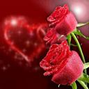 Yvonne Mitchell (@11vonna) Twitter