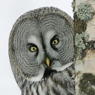 LawHMS's profile picture. 