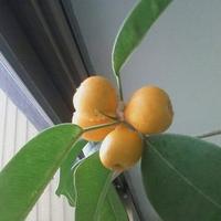 김영국 (@egdkim) 's Twitter Profile