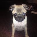 Lindsay - @LindsayIngram2 - Twitter