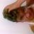 cris_miossi's profile image