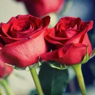 اللهم أمن وسلام، حب ونماء 🌹