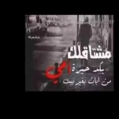 40GQzdqrcJdA3IZ's profile picture. 