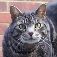 Roth Child (@thechildofroth) 's Twitter Profile