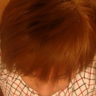 @makoto_no6